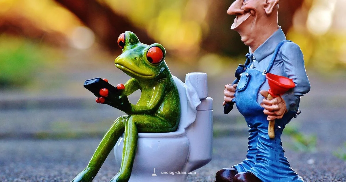 Clogged Toilet Fix - Unclog Drain