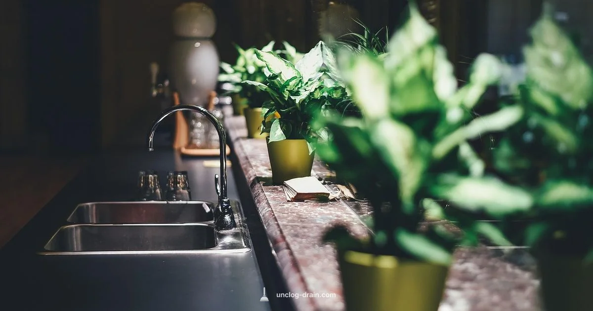 Drain Snake Guide - Unclog Drain