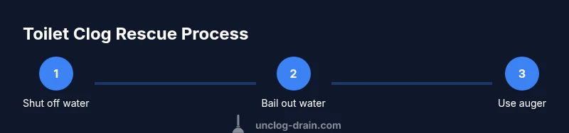 Process flow of unclogging a toilet without a plunger
