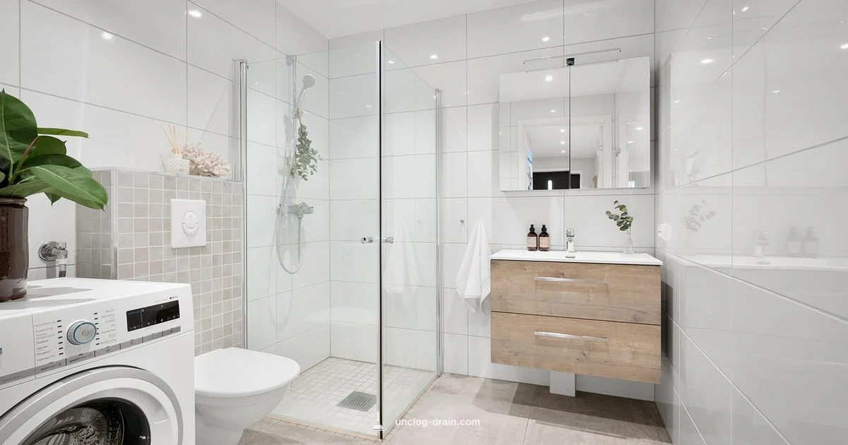 Fast Toilet Troubleshooting - Unclog Drain