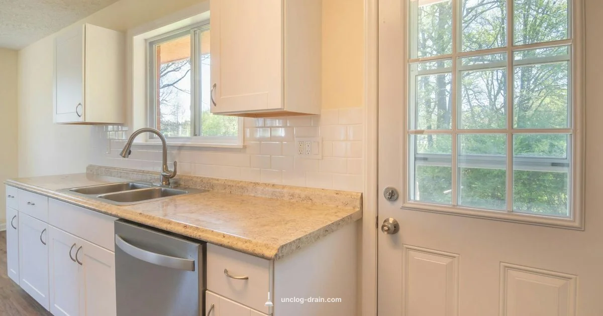 Top Kitchen Sink Unblockers Top Kitchen Sink Unblockers - Unclog Drain