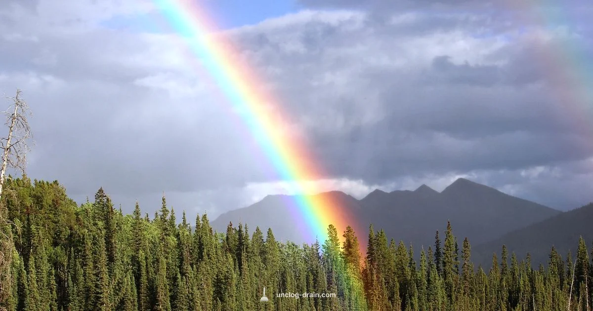 Liver Health Foods - Unclog Drain