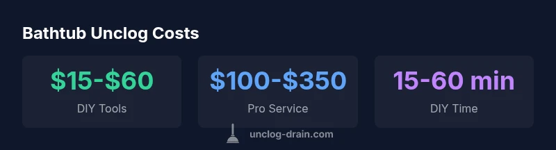 Infographic showing cost ranges for bathtub unclogging