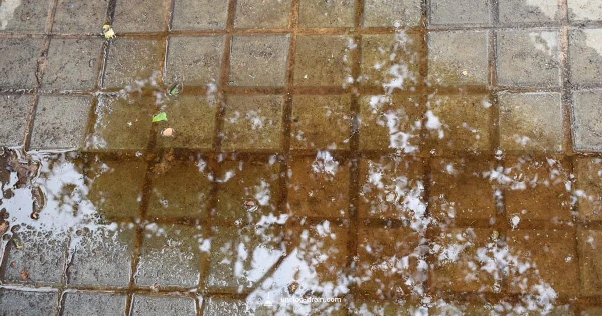 Fix Shower Drain Now Fix Shower Drain Now - Unclog Drain