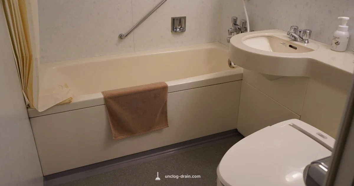 Toilet Clog Solutions - Unclog Drain