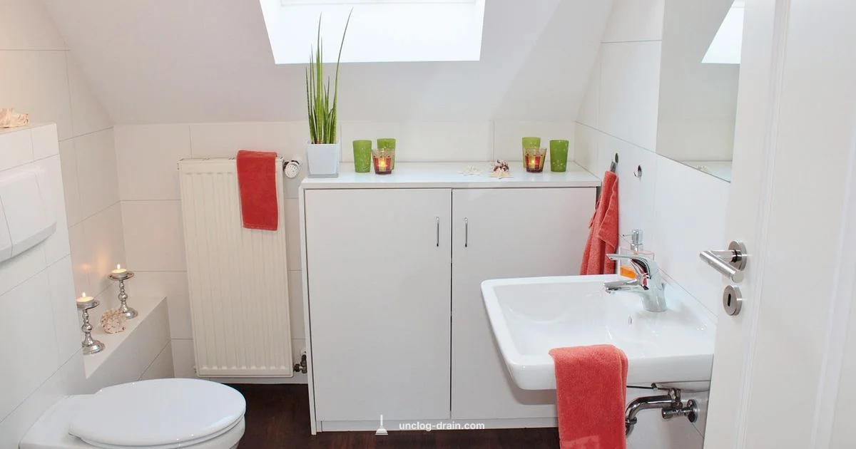 Toilet Unclog Guide - Unclog Drain