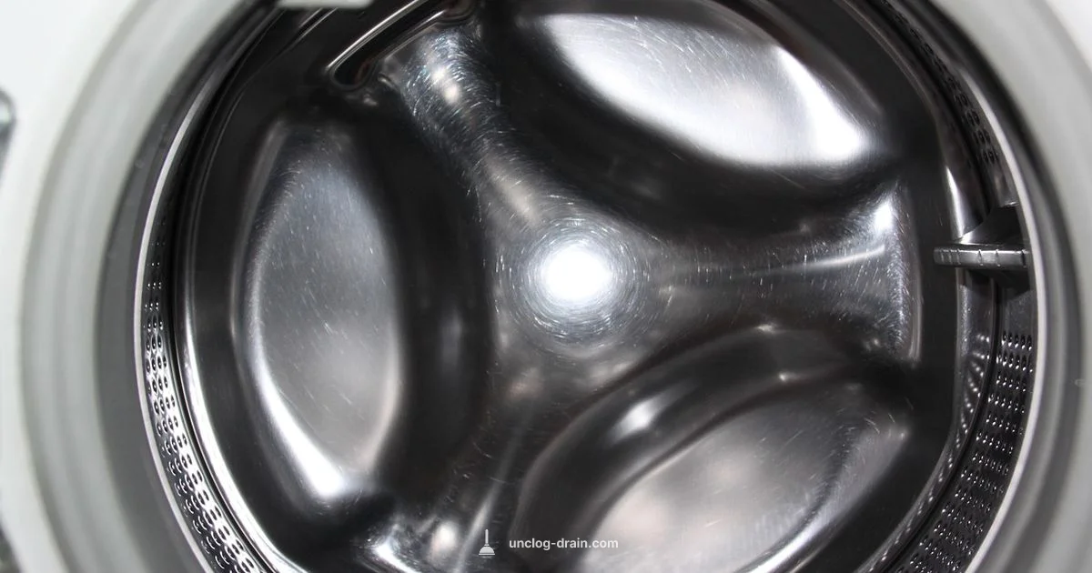 IFB Filter Clean - Unclog Drain