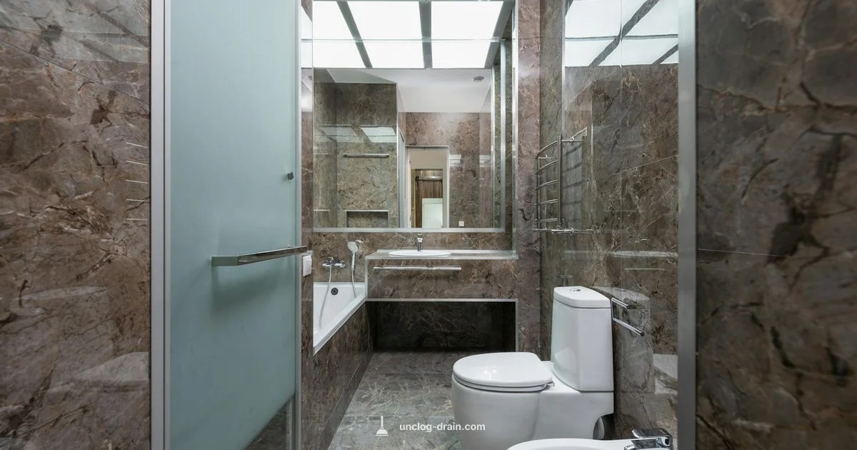 Toilet Snake Guide Toilet Snake Guide - Unclog Drain