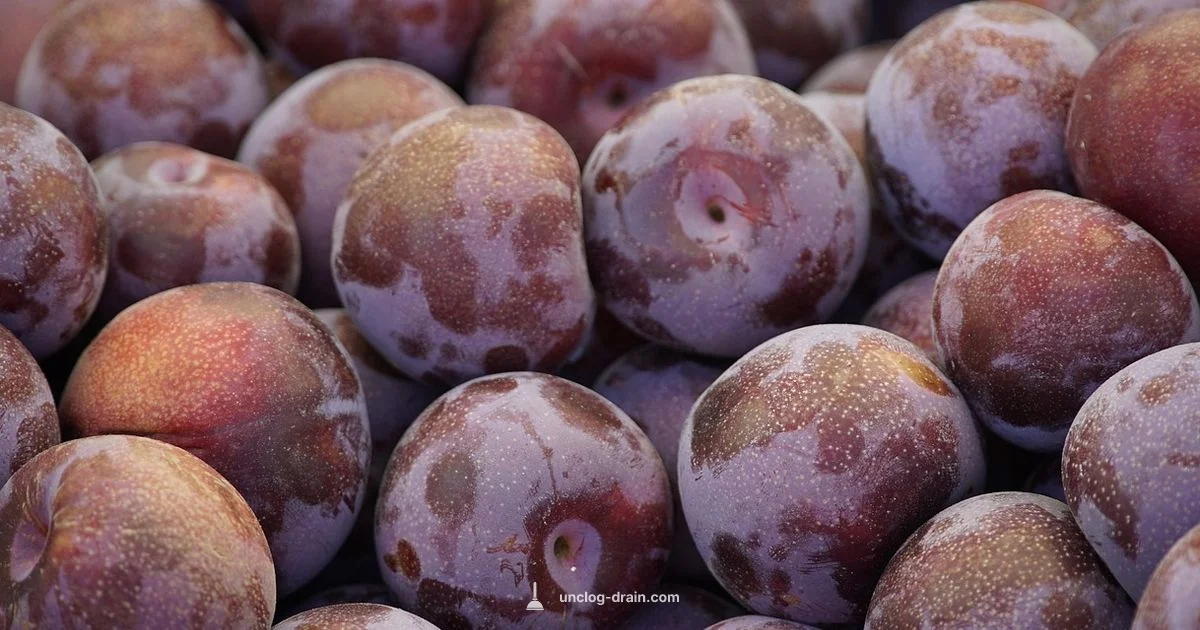 Plunger Use Guide Plunger Use Guide - Unclog Drain