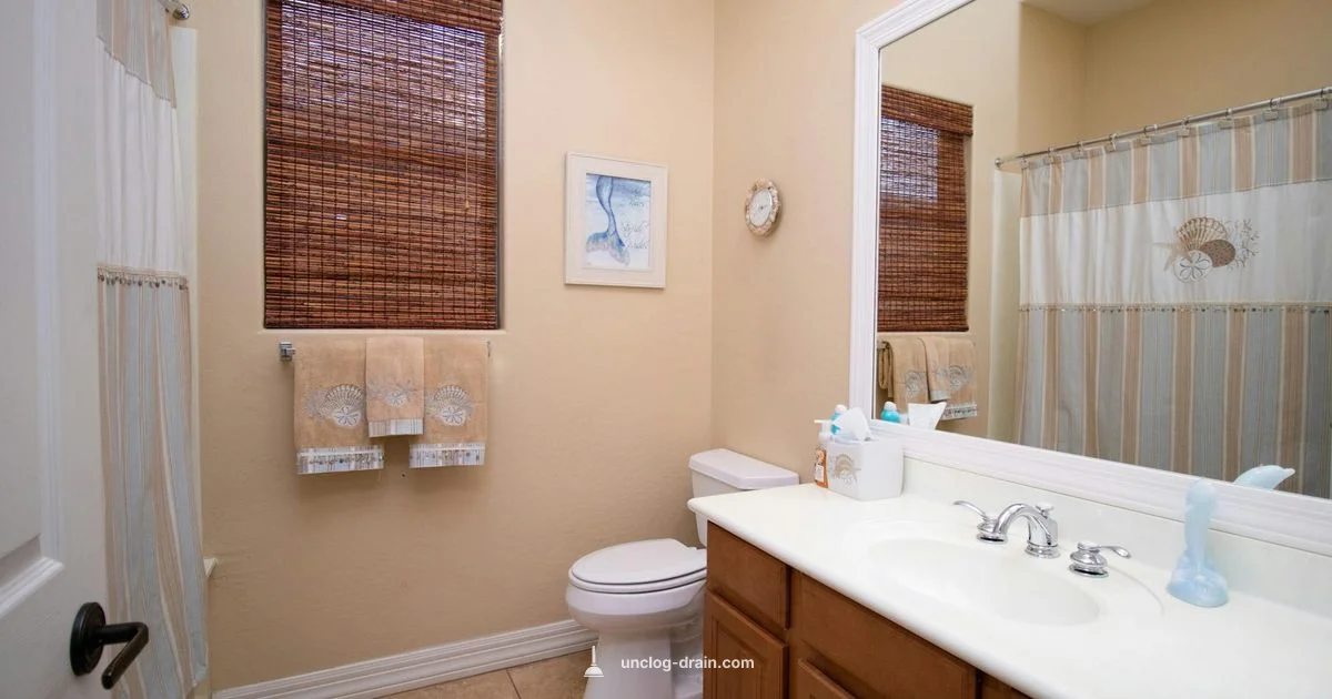 Slow Drain Solutions - Unclog Drain