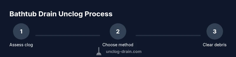 infographic showing step-by-step bathtub unclog process