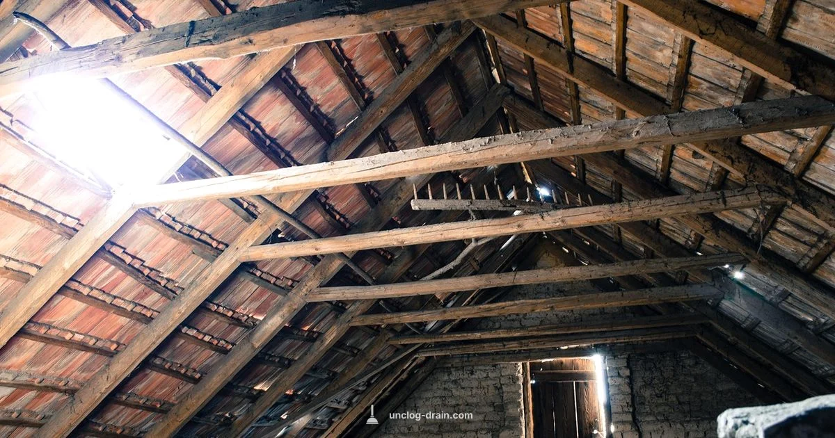 Vent Clearing Inside Access - Unclog Drain