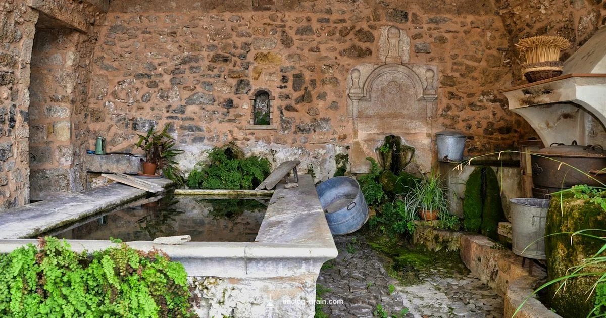 Clean Drain Guide - Unclog Drain