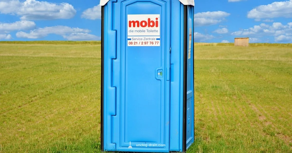 Toilet Clog Fix - Unclog Drain