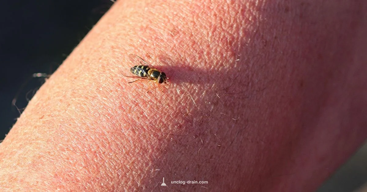 Clogged Pores Guide - Unclog Drain