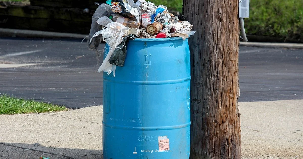 Safe Disposal Fix - Unclog Drain