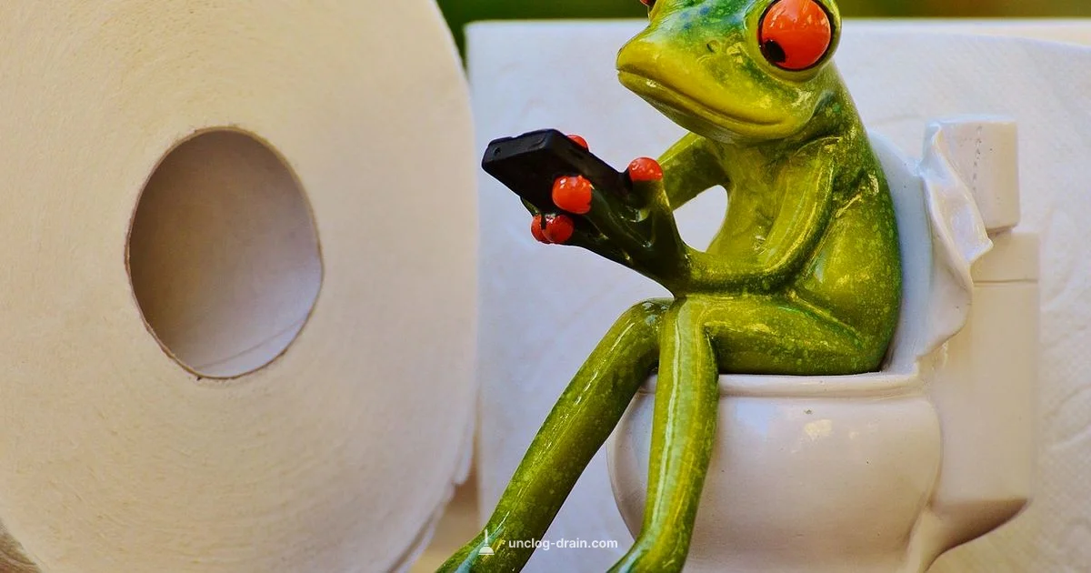 Toilet Clog Fix - Unclog Drain