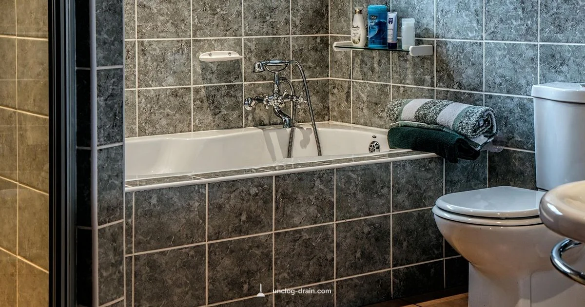 Toilet Unclog Guide - Unclog Drain