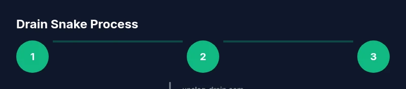 Process infographic showing steps of using a bathtub drain snake