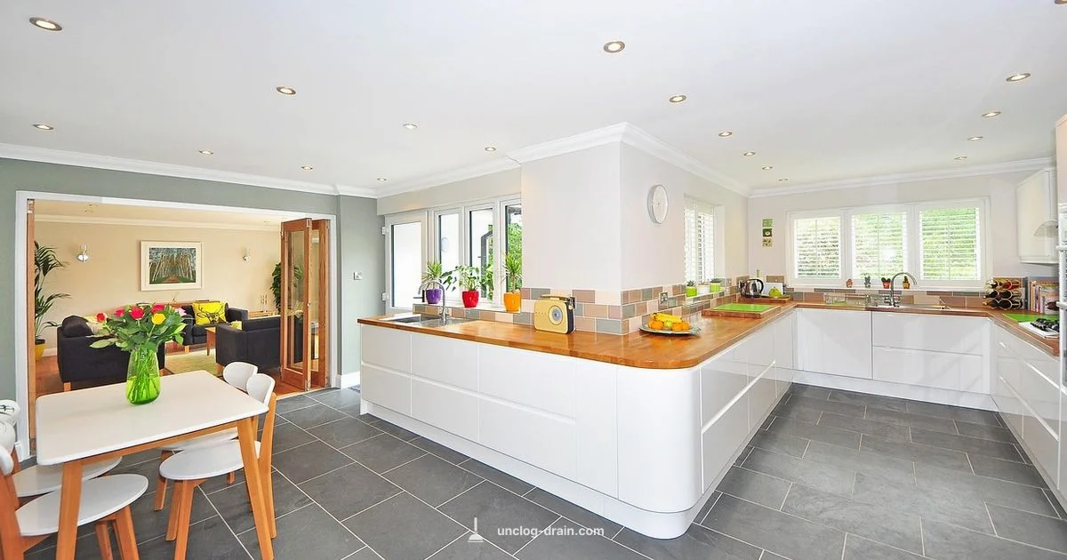 Disposer Fix Guide - Unclog Drain