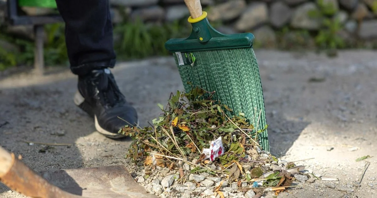 Outdoor Drain Dirt Fix - Unclog Drain