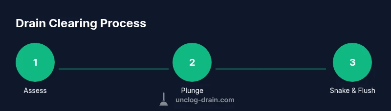 Infographic showing a three-step drain clearing process: assess, plunge, and snake with a clean design