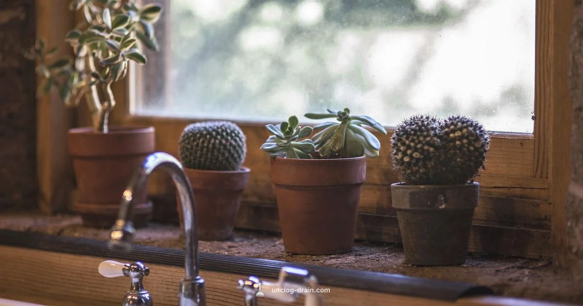 Clogged Pipes Fix - Unclog Drain