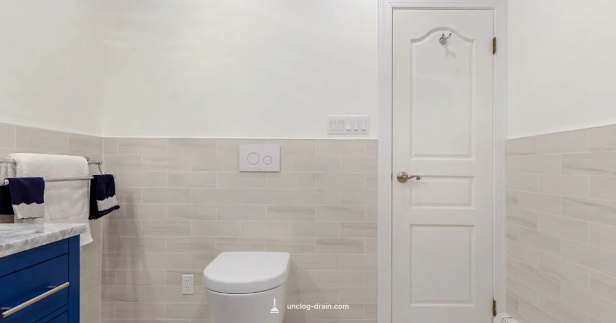 Toilet Clog Guide - Unclog Drain