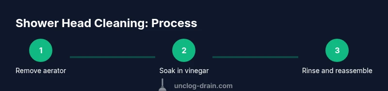 Tailwind infographic showing three steps to clean a shower head