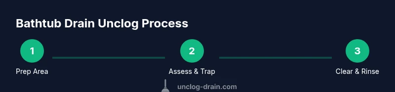 Infographic showing steps to unclog a bathtub drain