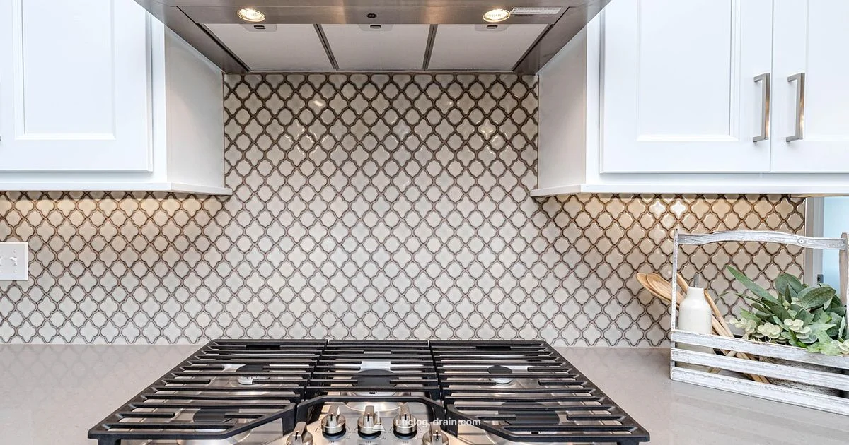 Clogged Dishwasher Hose Fix - Unclog Drain