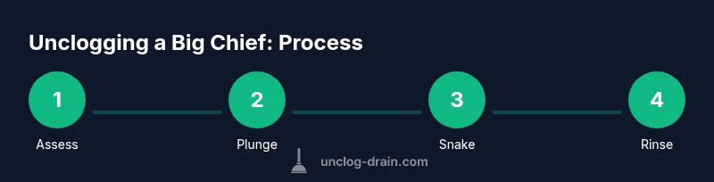 Infographic showing a 4-step process to unclog a Big Chief drain: Assess, Plunge, Snake, Rinse