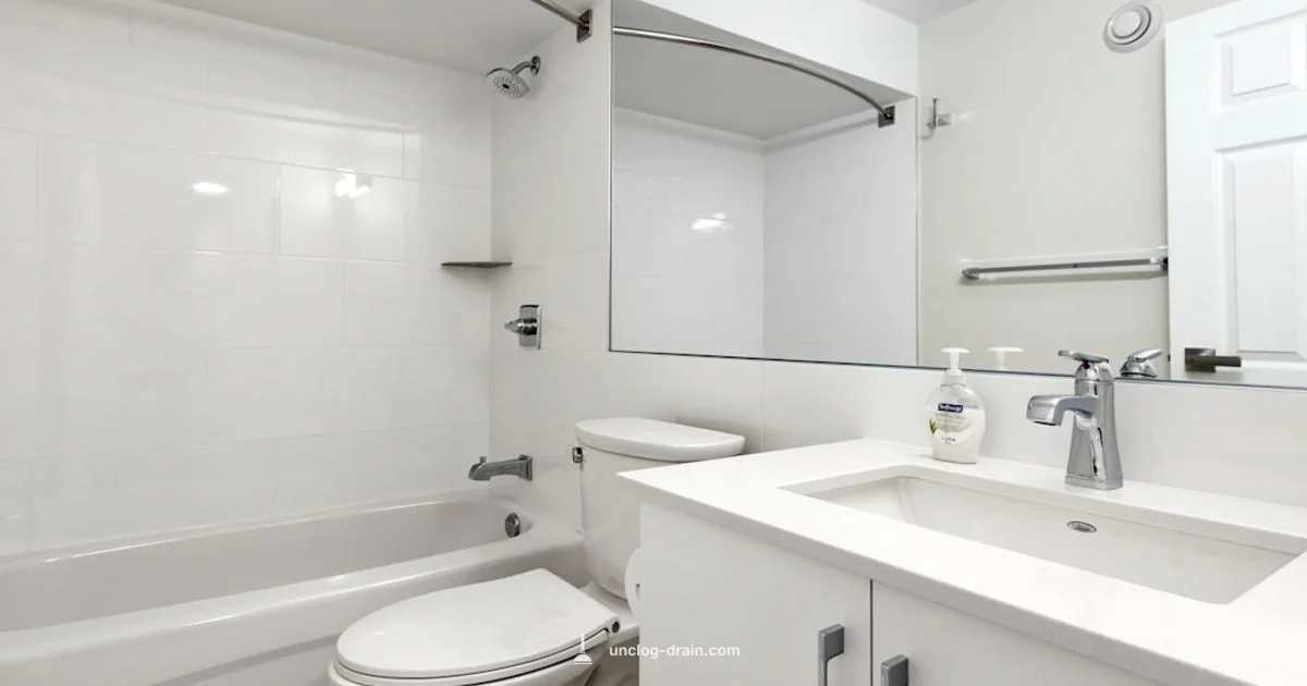 Best Toilet Cleaner - Unclog Drain