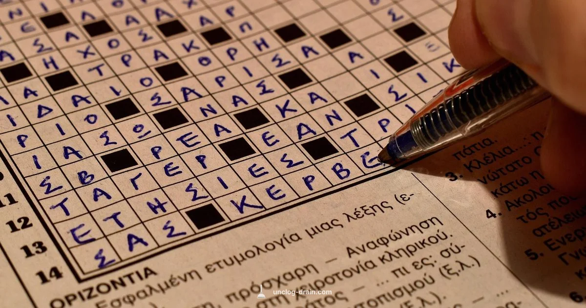 9-letter Crossword Guide - Unclog Drain