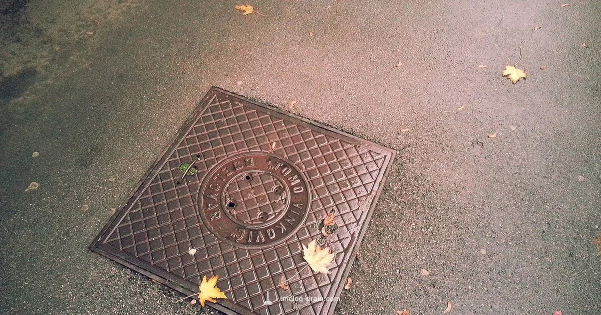 Sewer Cost Guide - Unclog Drain