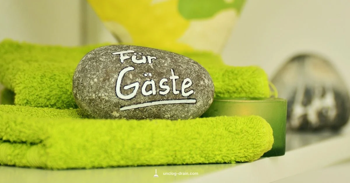 Hotel Toilet Clog Fix - Unclog Drain