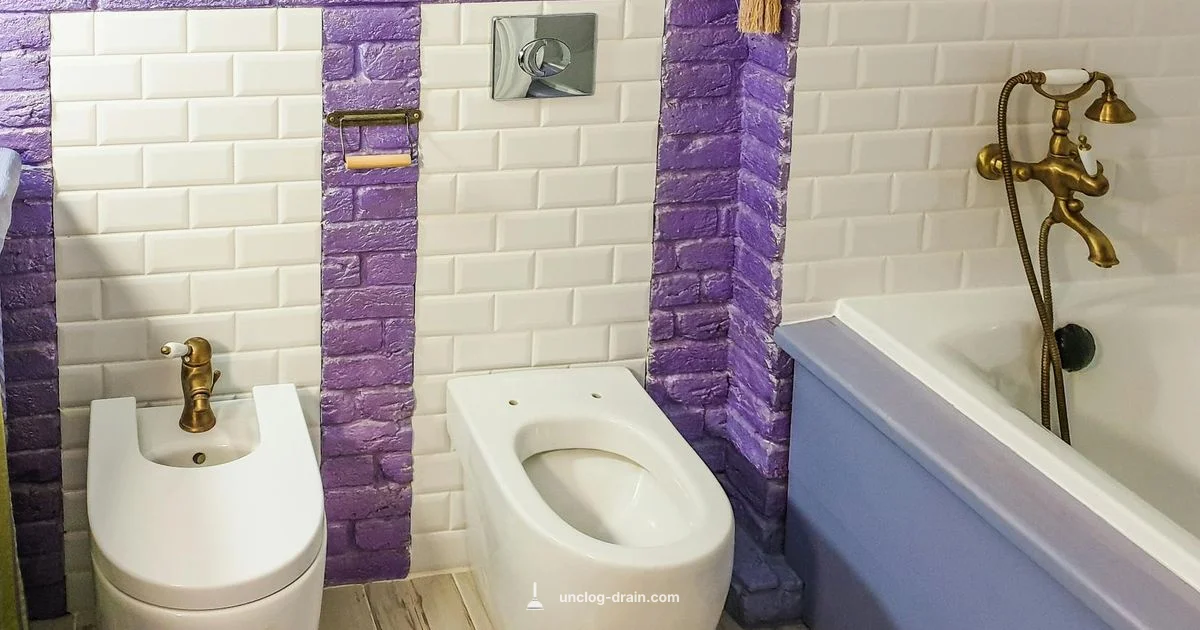 Blocked Toilet Pipe Fix - Unclog Drain