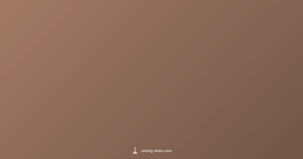 Hair Clog Removal - Unclog Drain (illustration)