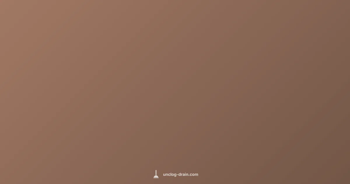 Unclog Drain Guide Unclog Drain Guide (illustration)