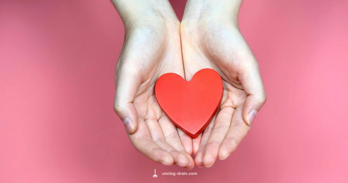 Artery Health Basics - Unclog Drain