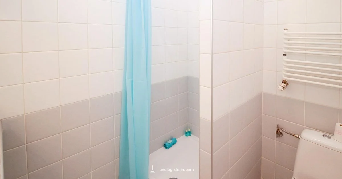 Shower Not Draining Shower Not Draining - Unclog Drain