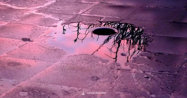 Drain Care Guide - Unclog Drain