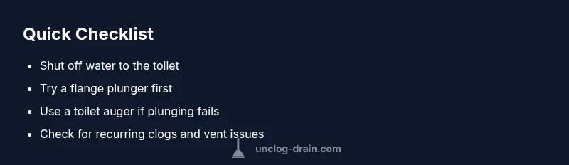 Checklist infographic for unclogging a toilet