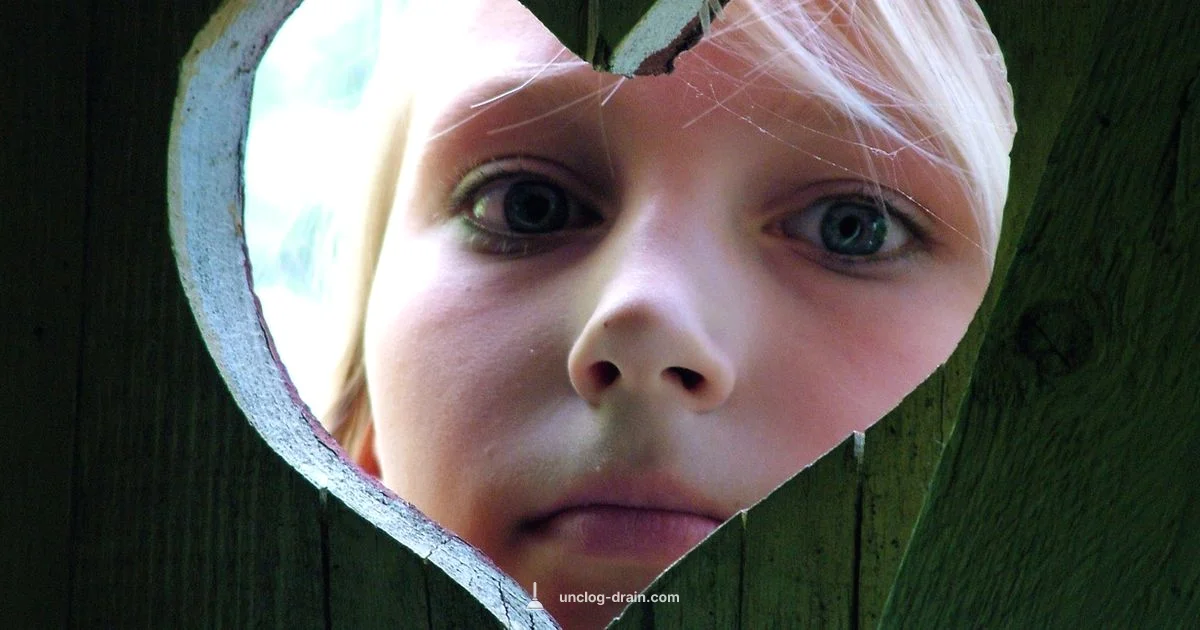 Toilet Clog Fix - Unclog Drain