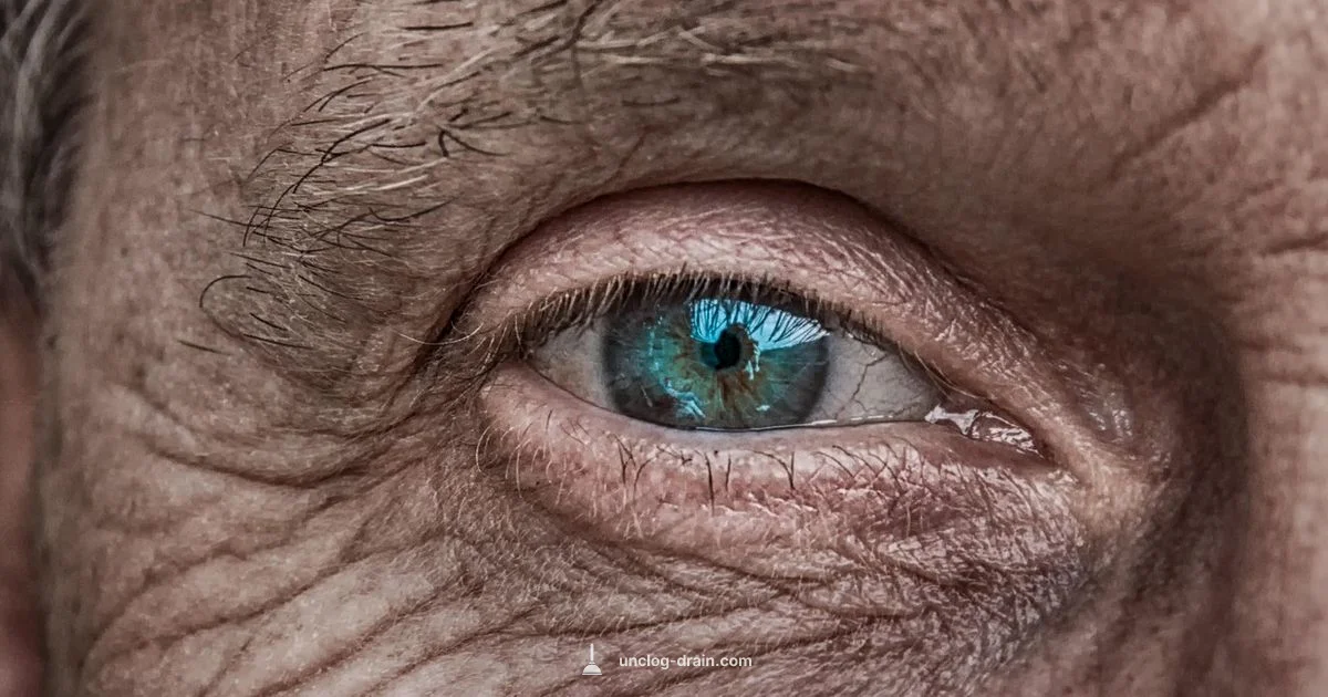 Clogged Pores Look Clogged Pores Look - Unclog Drain