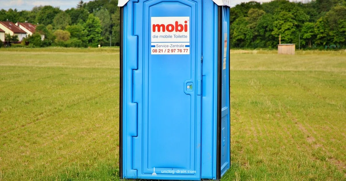 Toilet Clog Fix - Unclog Drain