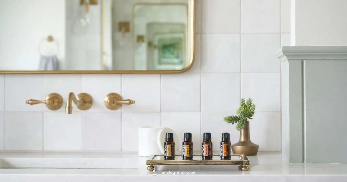 Fast Toilet Unclog Guide - Unclog Drain