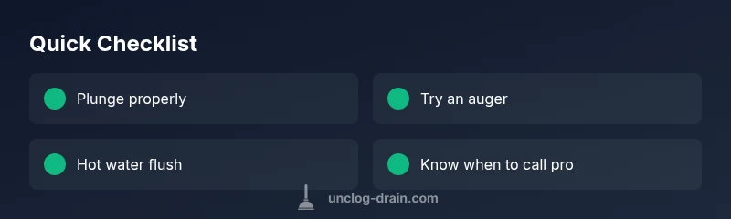 Checklist infographic showing steps to unclog a toilet