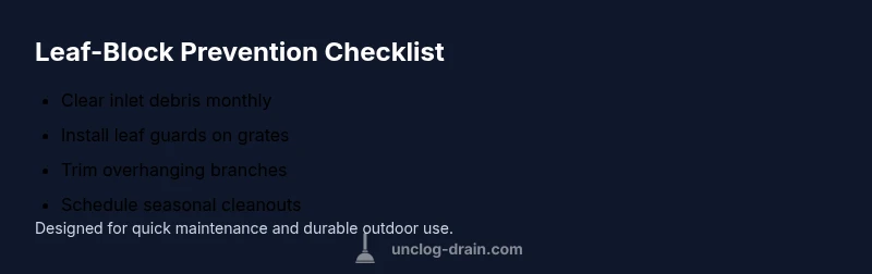 Checklist for clearing leaves from outdoor drain