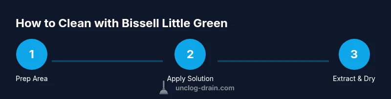 Process infographic showing prep, application, extraction and drying steps for Bissell Little Green